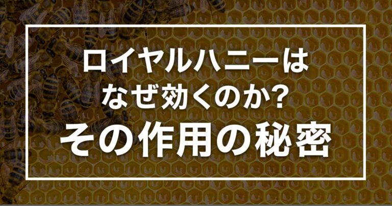 ロイヤルハニーはなぜこんなにも効くのか？その作用の秘密